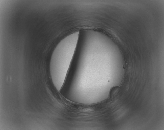 X0000070210643200605261103