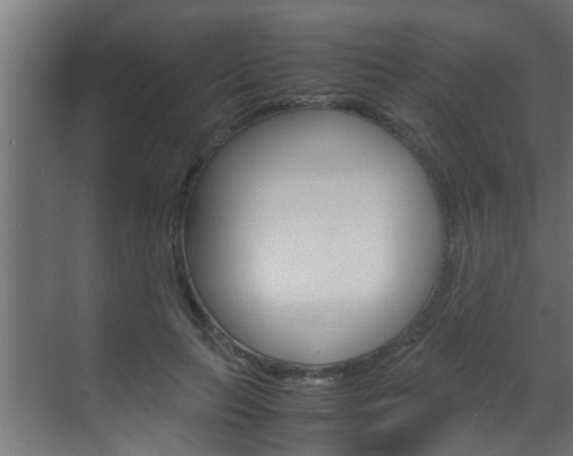 X0000070210647200605261103