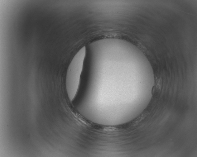 X0000070210666200605261103