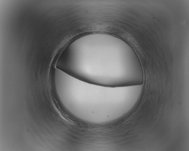 X0000070210674200605261103