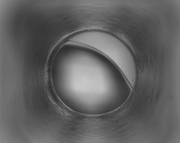 X0000070210676200605261103