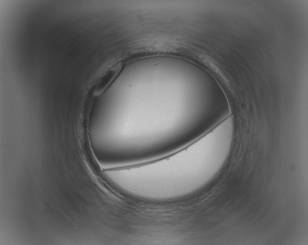 X0000070210677200605261103