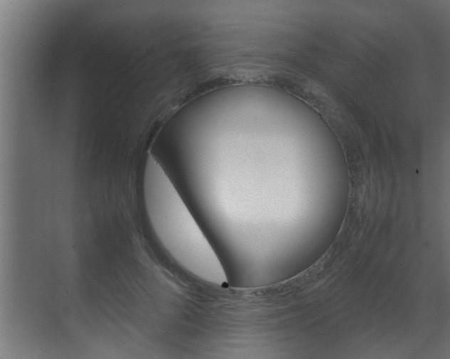 X0000070210696200605261102