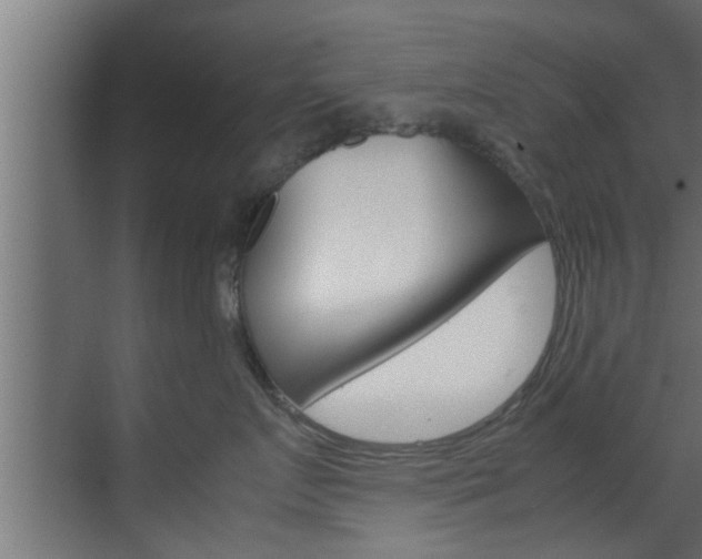 X0000070210719200605261102