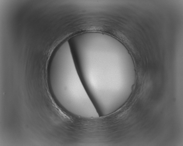 X0000070210721200605261101