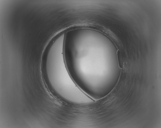 X0000070210724200605261101
