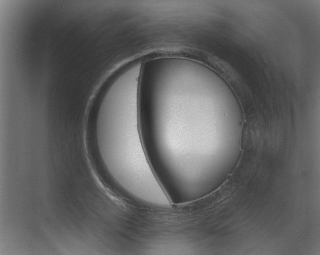 X0000070210728200605261101