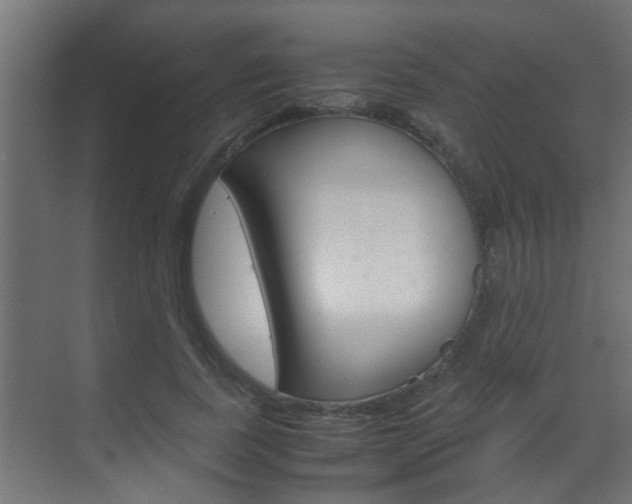 X0000070210739200605261101