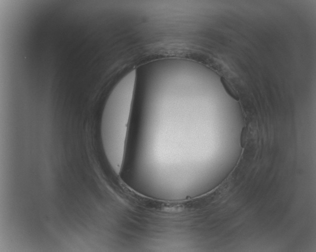 X0000070210744200605261101