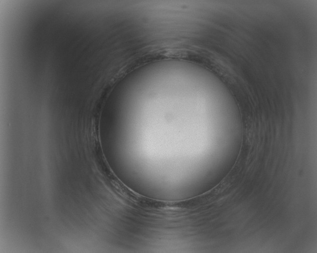 X0000070210748200605261101