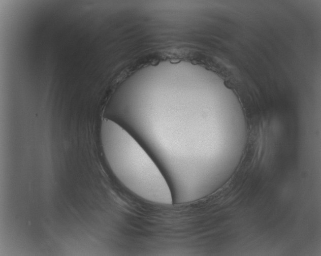 X0000070210749200605261101