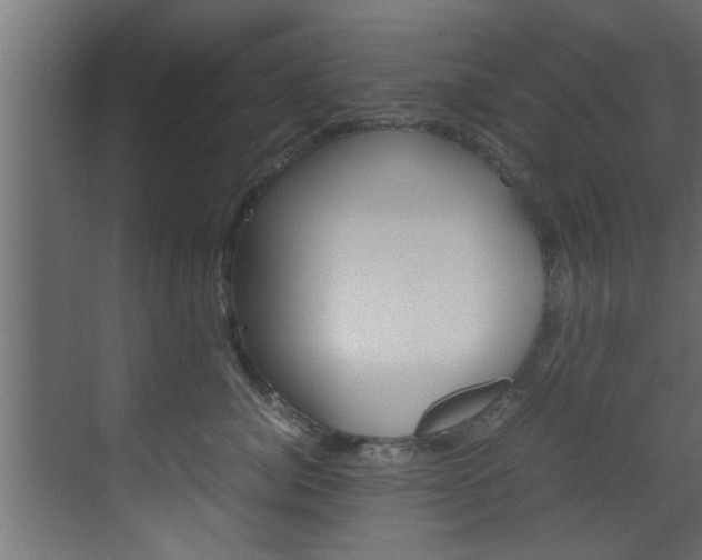 X0000070210764200605261102