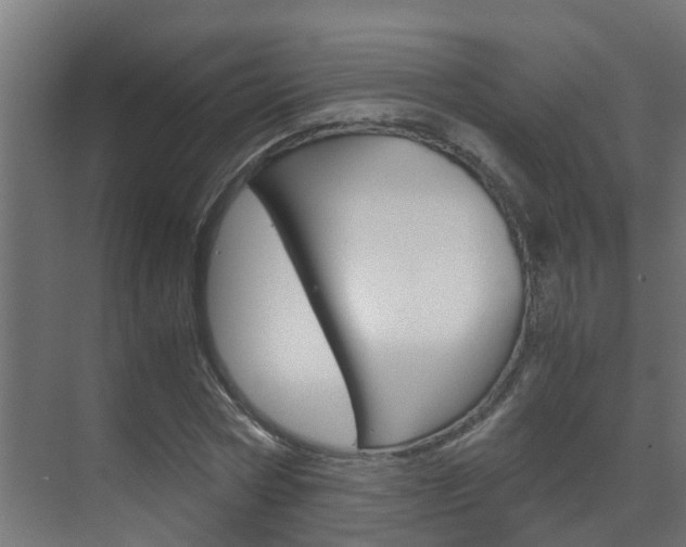 X0000070210778200605261101