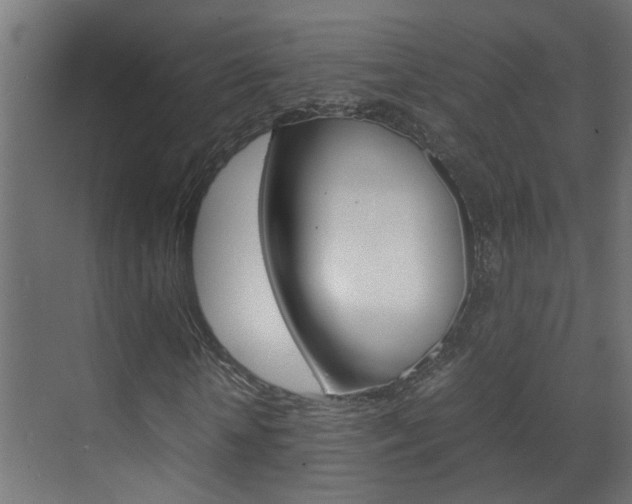X0000070210818200605261059