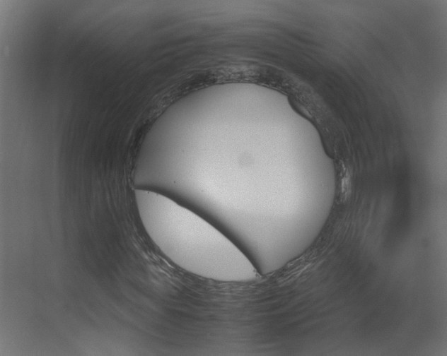 X0000070210819200605261059