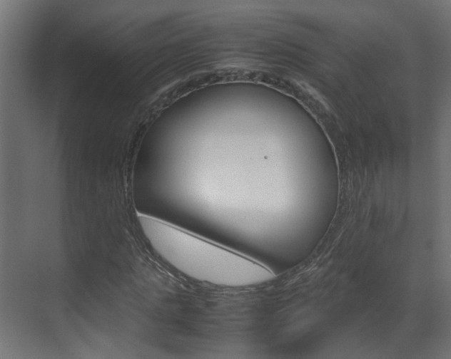 X0000070210821200605261059