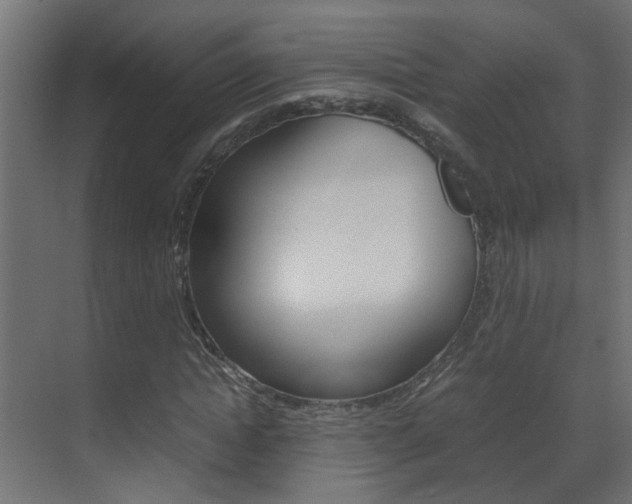 X0000070210822200605261059