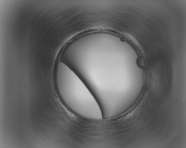 X0000070210831200605261100