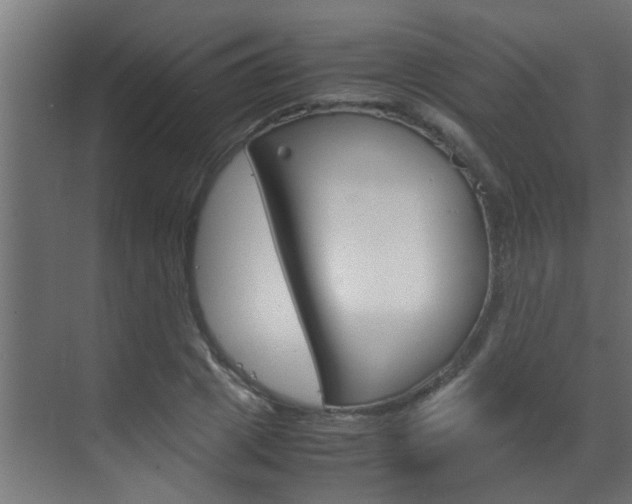 X0000070210833200605261100