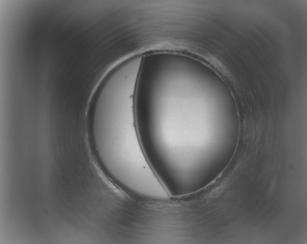 X0000070210838200605261100