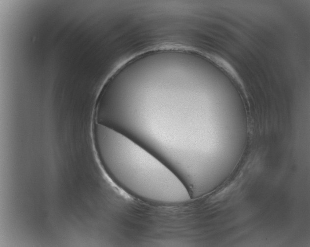 X0000070210847200605261100