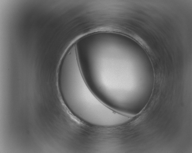 X0000070210854200605261100