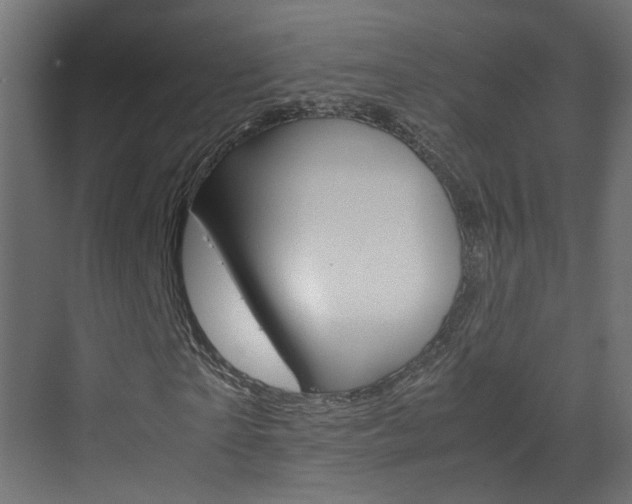 X0000070210865200605261059