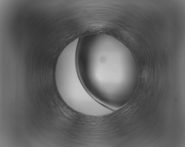 X0000070210868200605261059
