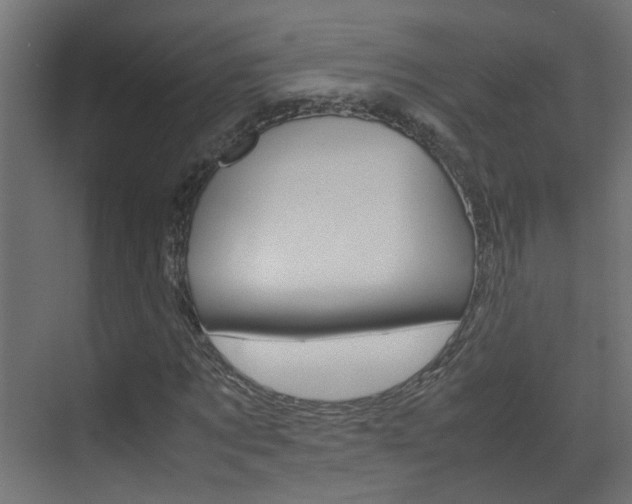 X0000070210869200605261059