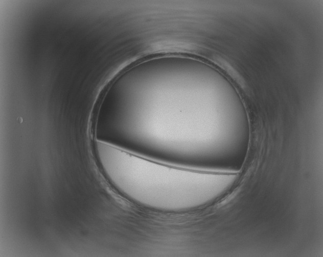 X0000070210885200605261059