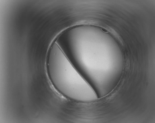 X0000070210896200605261059