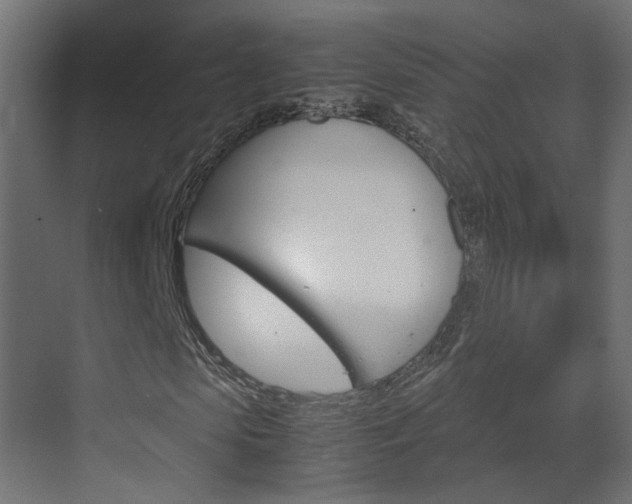 X0000070210913200605261058
