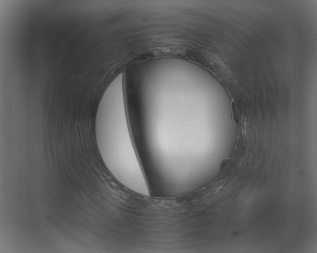 X0000070210915200605261058
