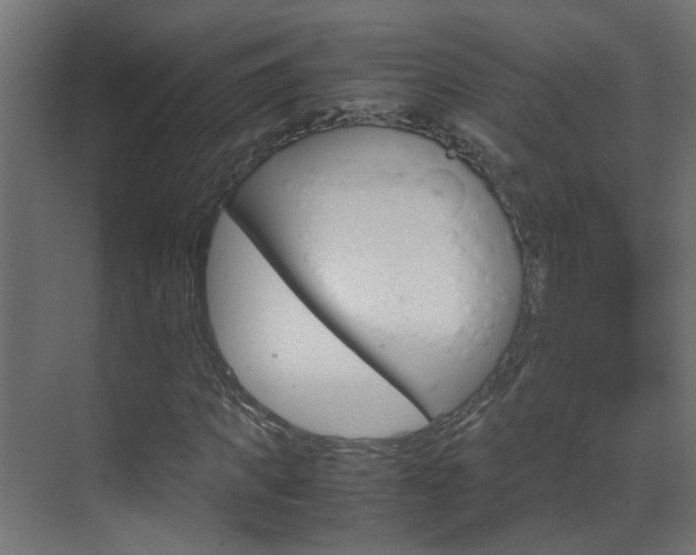 X0000070210917200605261058