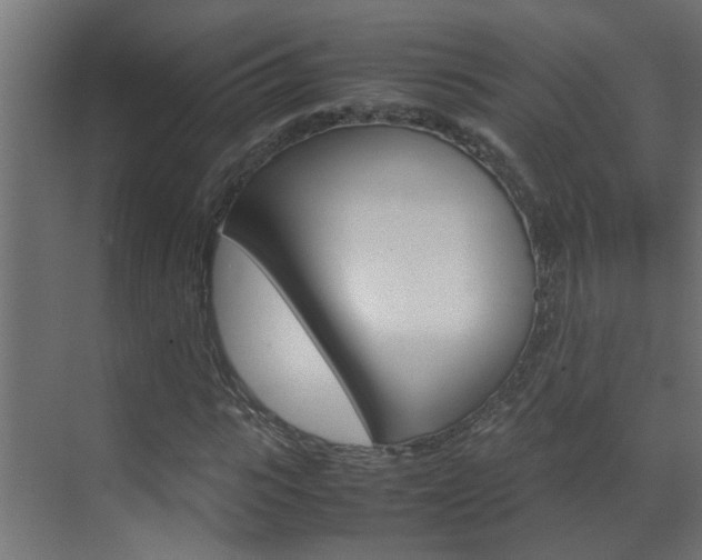 X0000070210919200605261058