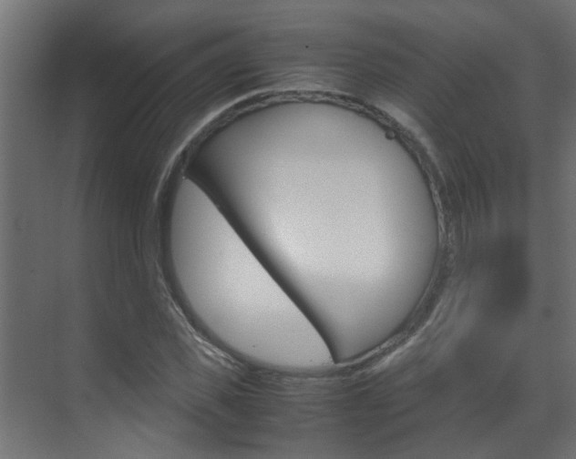 X0000070210925200605261058
