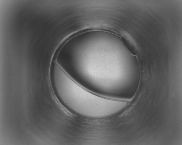 X0000070210932200605261058