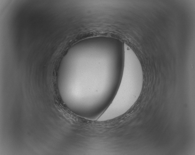 X0000070210961200605261058