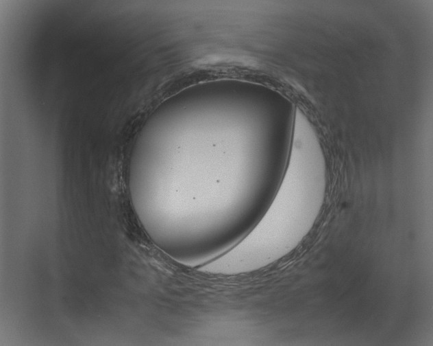 X0000070210965200605261058
