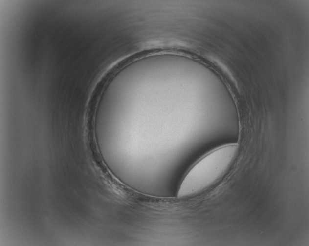 X0000070210975200605261057