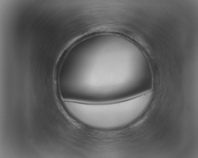 X0000070210981200605261057