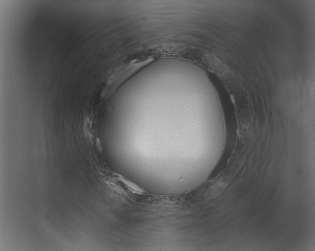 X0000070211010200605261056