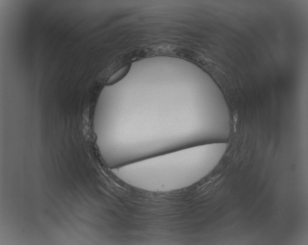 X0000070211011200605261056