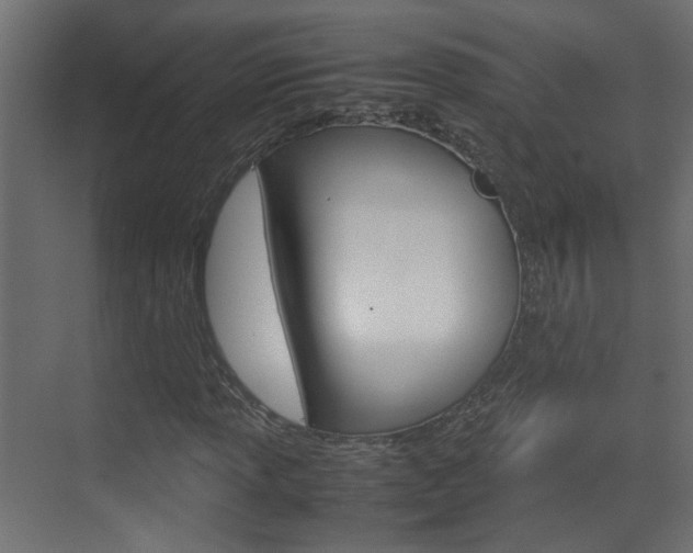 X0000070211013200605261056