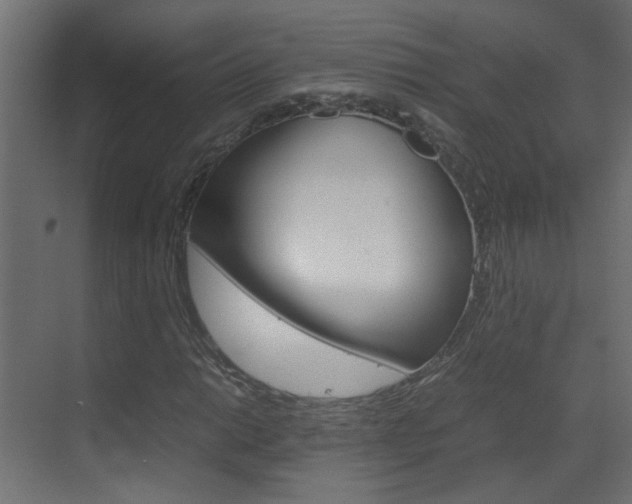 X0000070211014200605261056