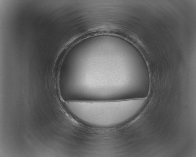 X0000070211018200605261056