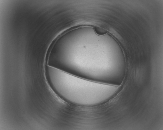 X0000070211028200605261056