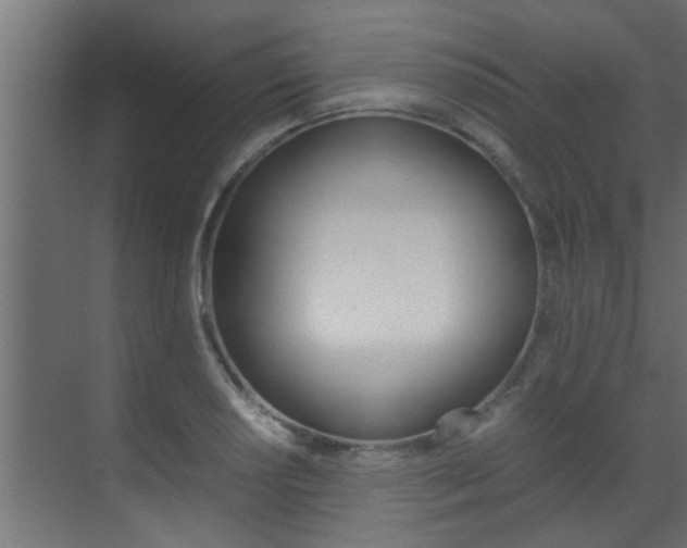 X0000070211034200605261057
