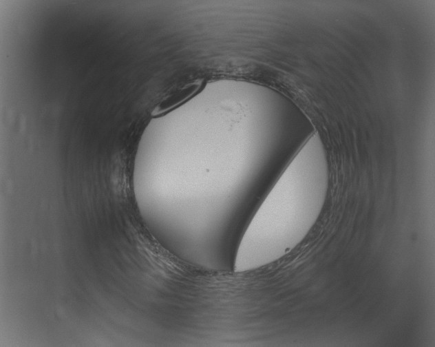 X0000070211058200605261056