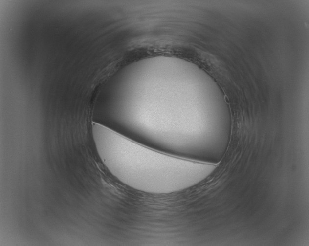 X0000070211060200605261056